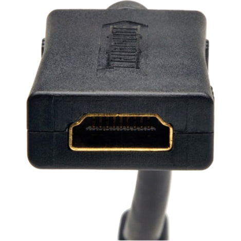 Tripp Lite by Eaton HDMI Display-Side Wallplate with Active Signal Booster, White (F/F)