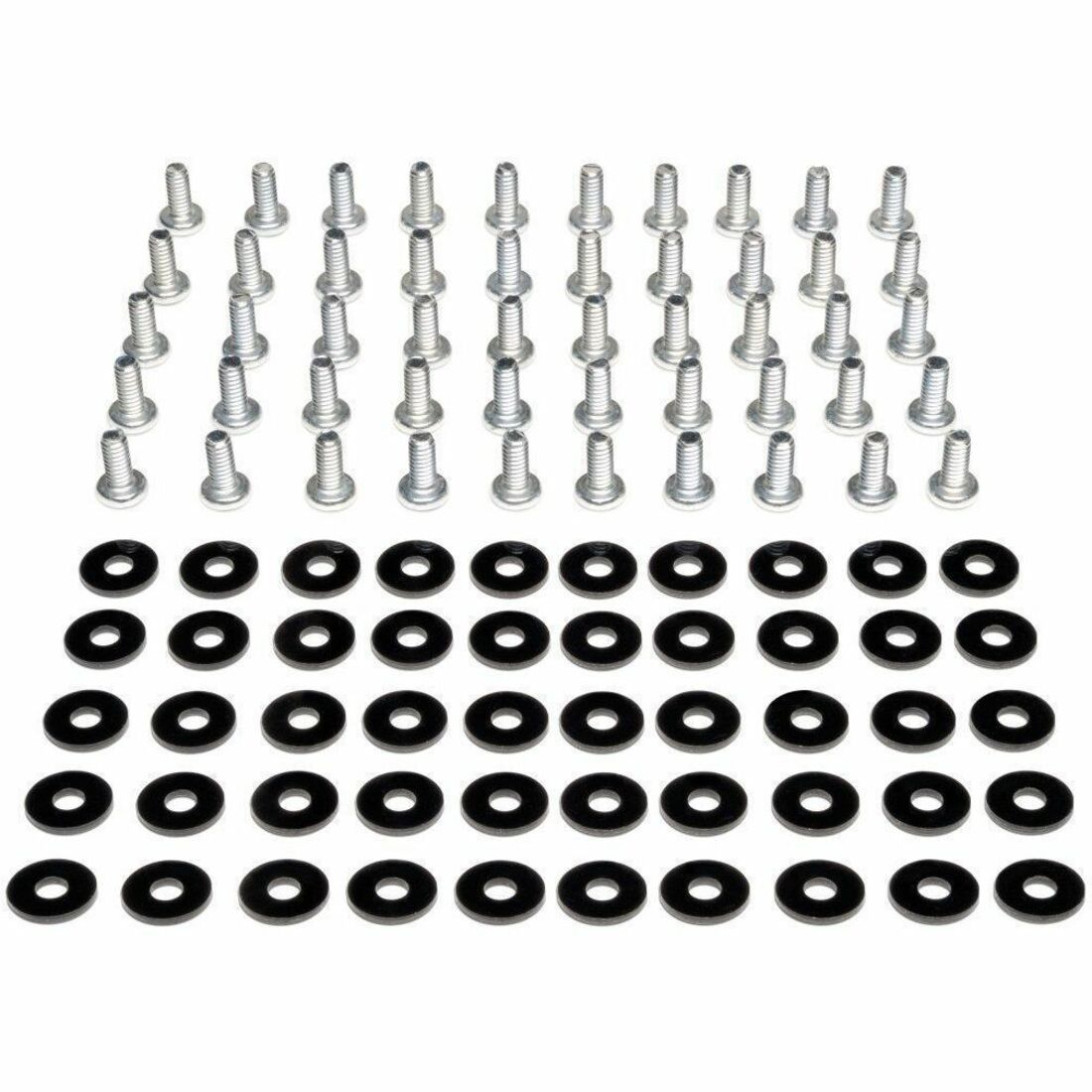 Eaton Tripp Lite Series SmartRack Threaded Hole Hardware Kit - 50 each #12-24 screws