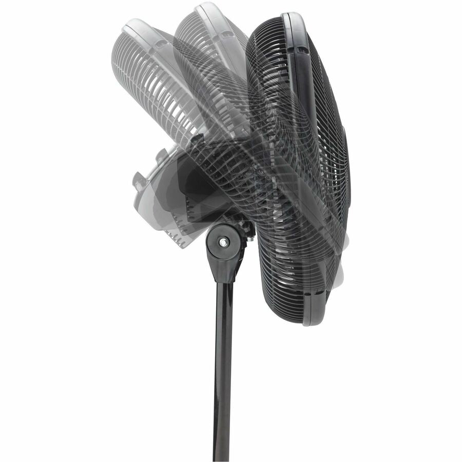 Lasko Oscillating Stand Fan