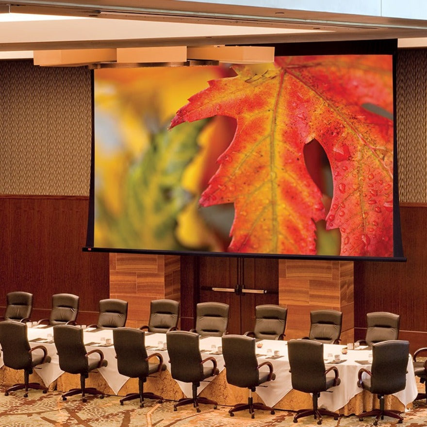 Draper Paragon V 324" Projection Screen