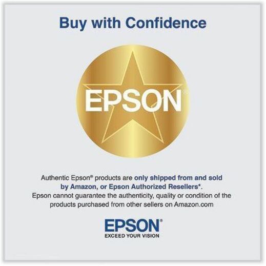 Epson Maintenance Box T699700