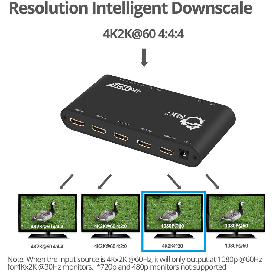 SIIG 1x4 HDMI 2.0 Splitter / Distribution Amplifier with Auto Video Scaling - 4K 60Hz HDR