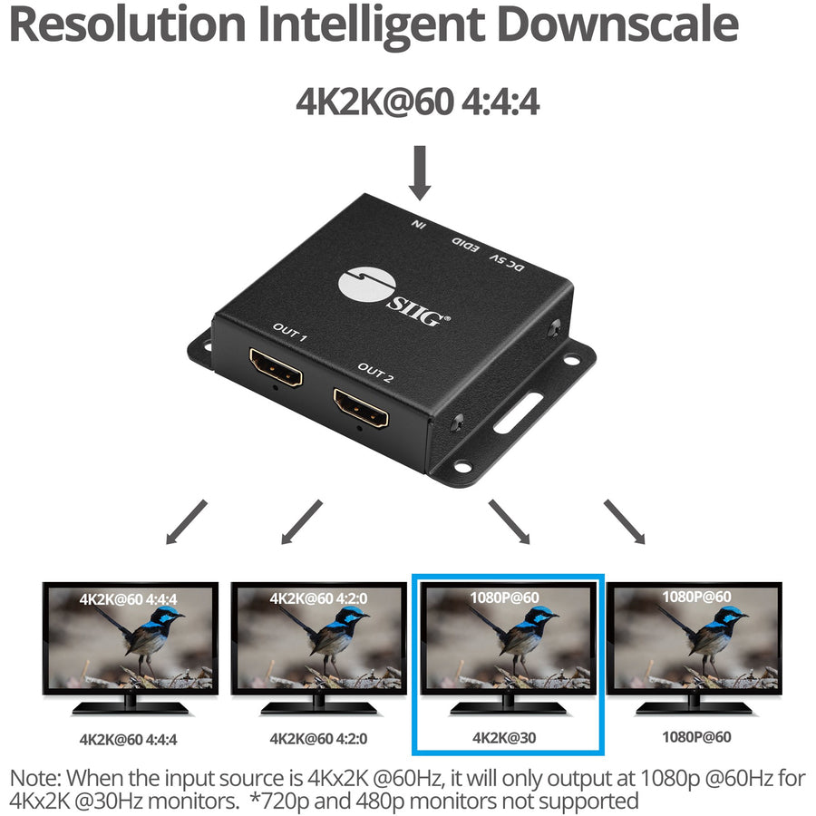 SIIG 2-Port HDMI 2.0 HDR Mini Splitter Amplifier with EDID Management