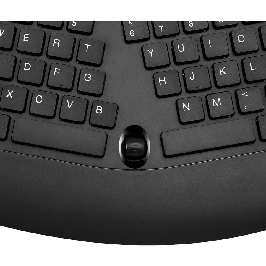 ERGONOMIC KEYBOARD W/ PALM REST