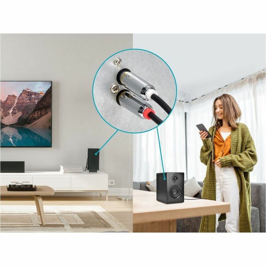 Monoprice Mini-phone/RCA Audio Cable