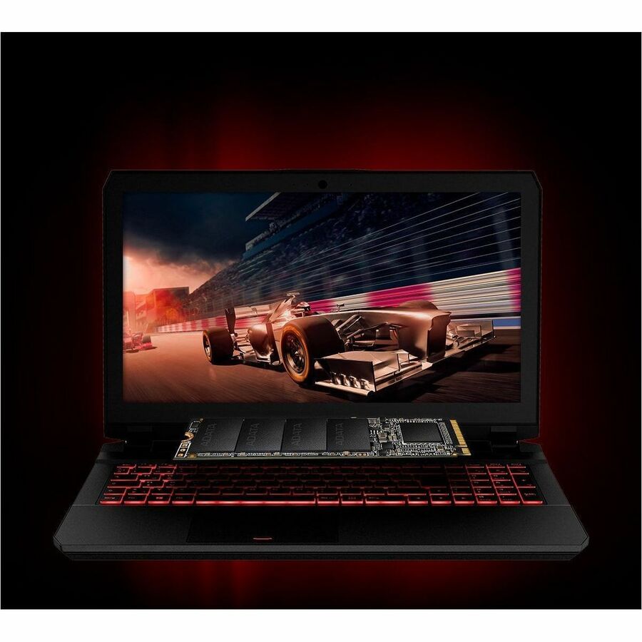 XPG SX6000 Pro ASX6000PNP-256GT-C 256 GB Solid State Drive - M.2 2280 Internal - PCI Express (PCI Express 3.0 x4)