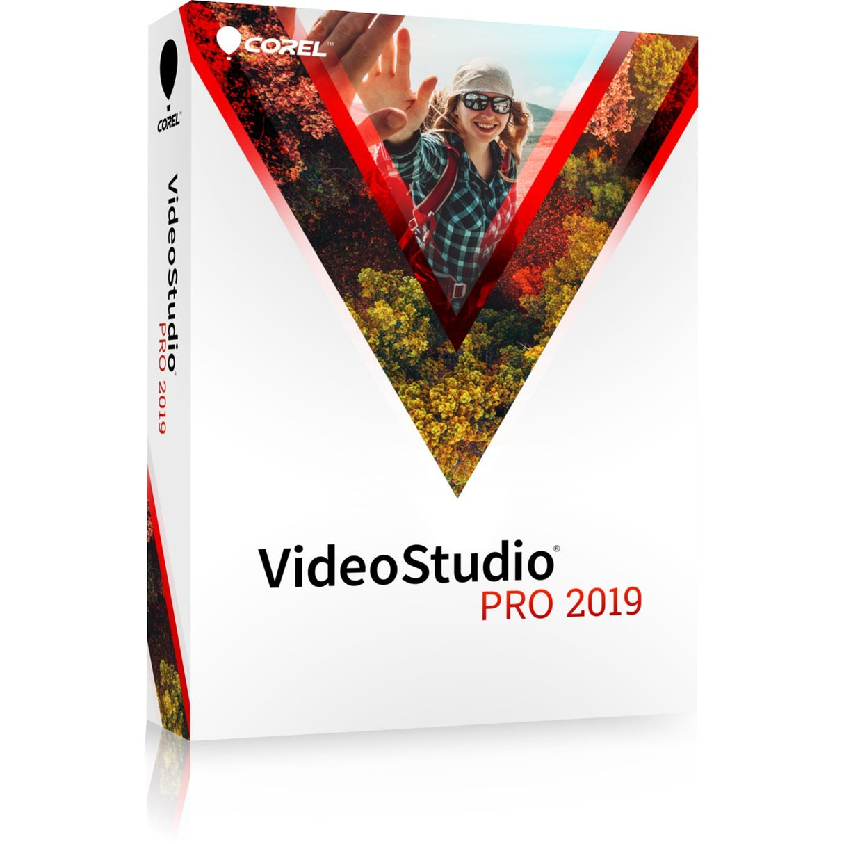 MLANG VIDEOSTUDIO 2019 PRO