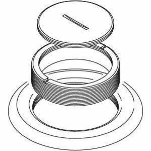 Wiremold 800 Series Brass Carpet Plate Assembly