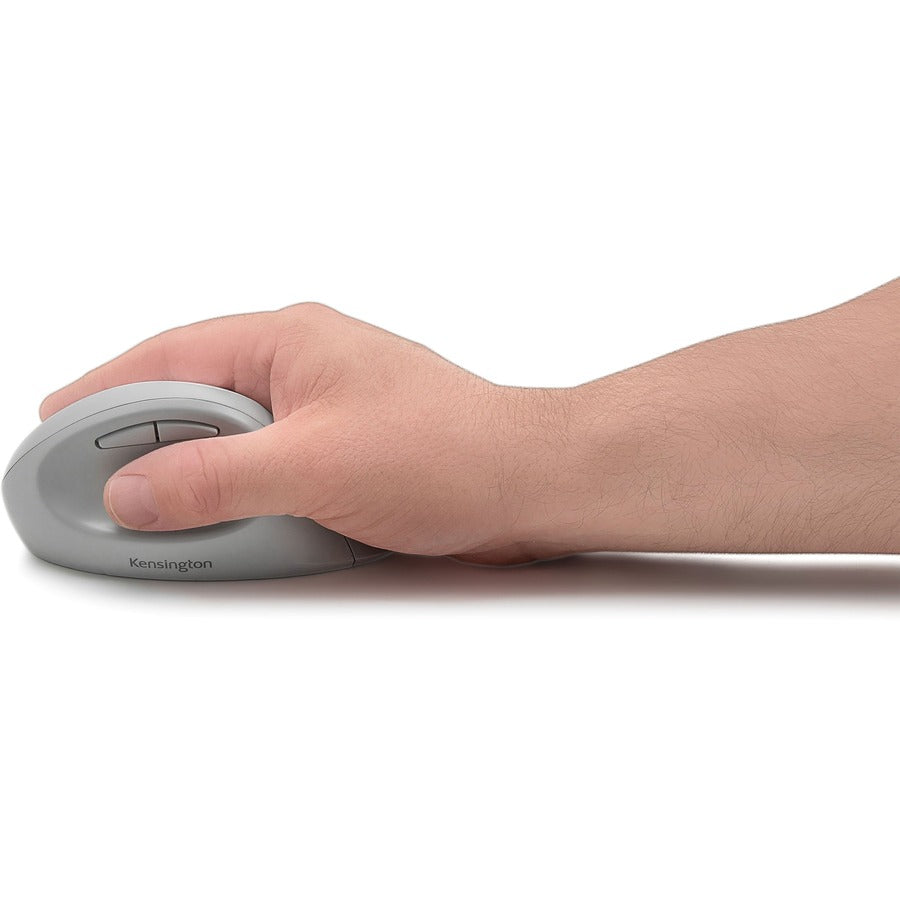 PRO FIT ERGO WRLS MOUSE GRAY