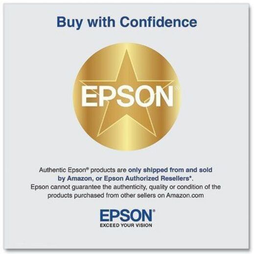 Epson UltraChrome PRO 770 Original Inkjet Ink Cartridge - Gray Pack