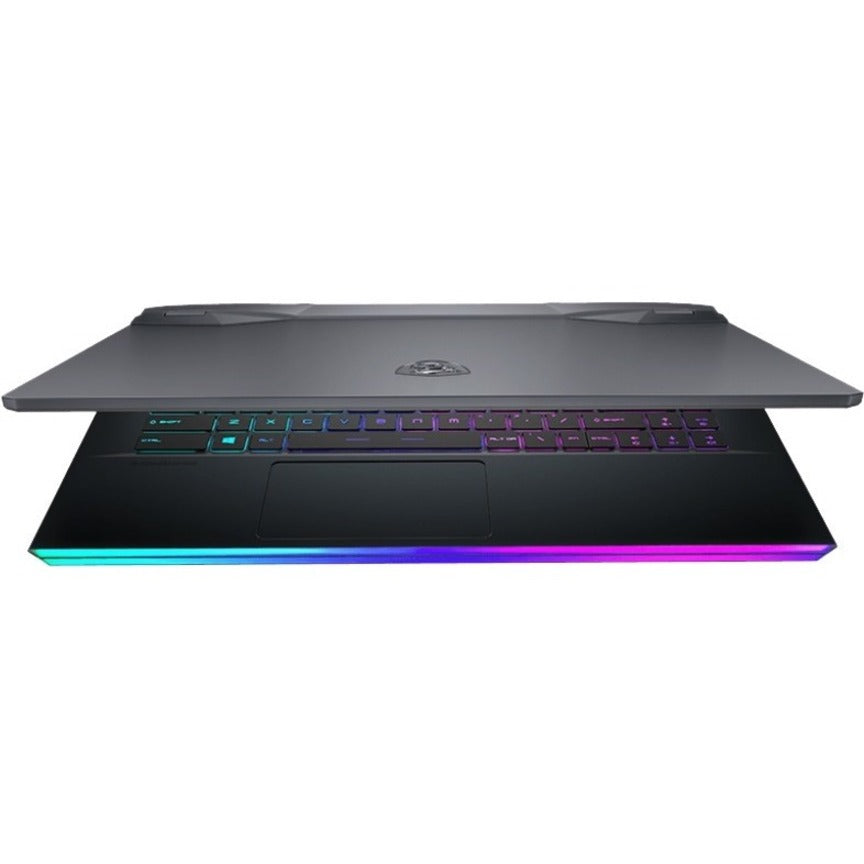 MSI GE66 Raider 10SFS-670 15.6" Gaming Notebook - Full HD - Intel Core i7 10th Gen i7-10750H - 32 GB - 1 TB SSD - Aluminum Black