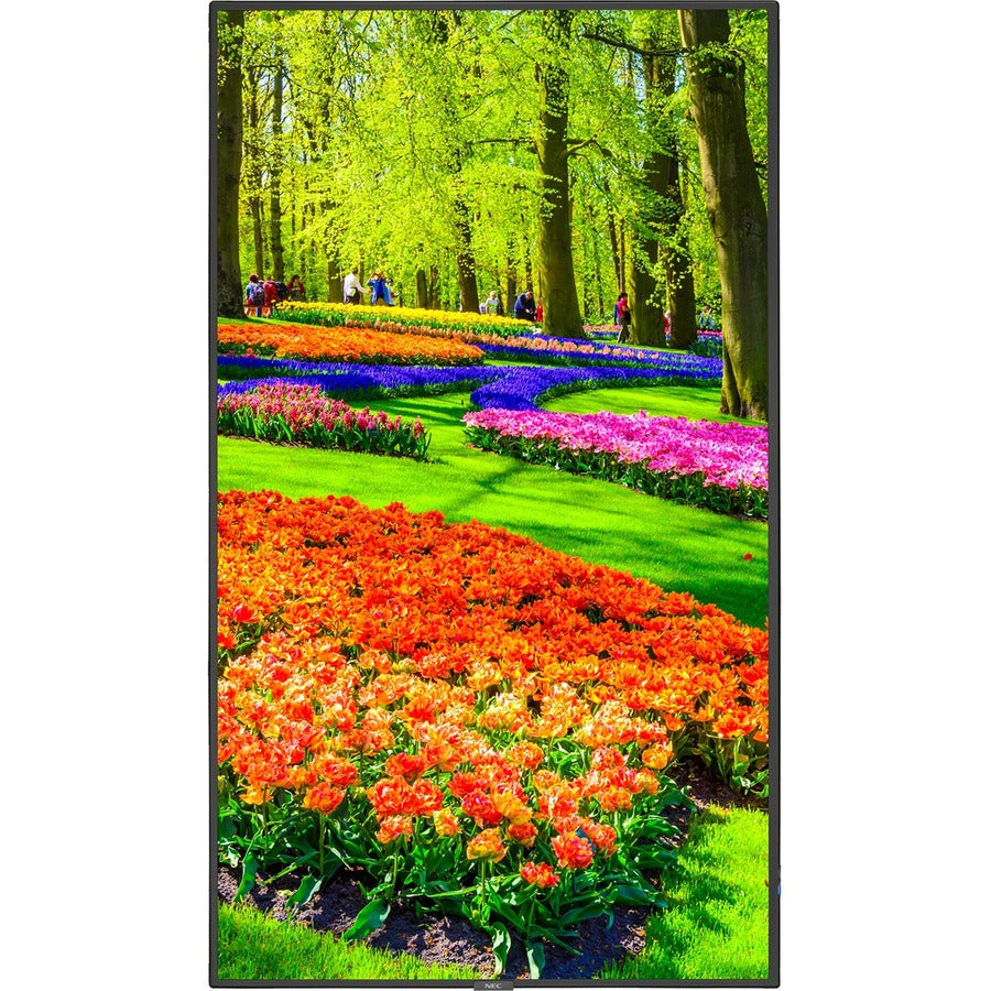 MULTISYNC M431-AVT3-43 LED LCD