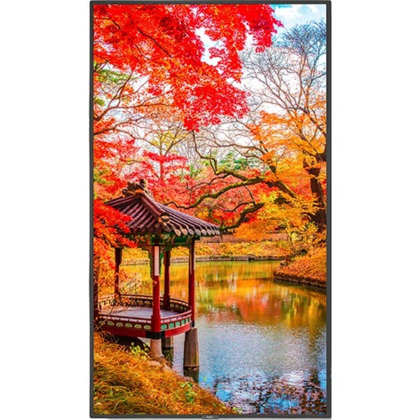 NEC Display MA491-PC5 Digital Signage Display/Appliance