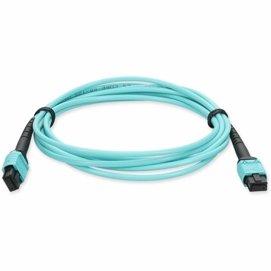 AddOn 3m 24-Strand MPO/MPO Female to Female Straight Through OM4 LOMM Patch Cable