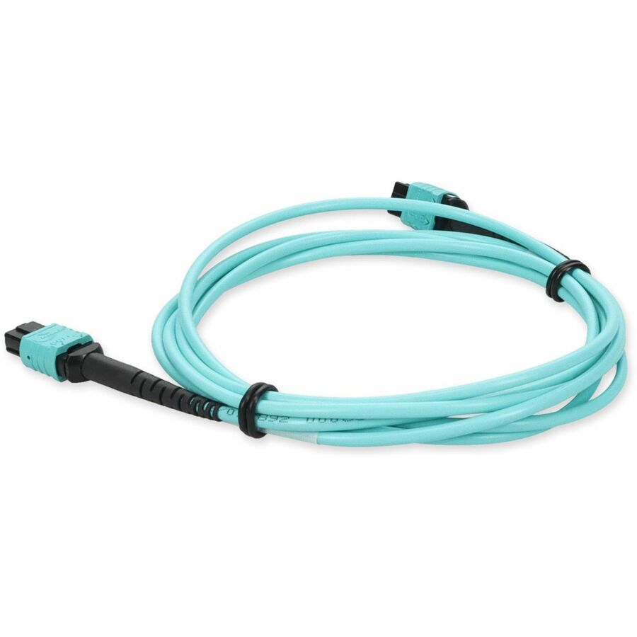 AddOn 3m 24-Strand MPO/MPO Female to Female Straight Through OM4 LOMM Patch Cable