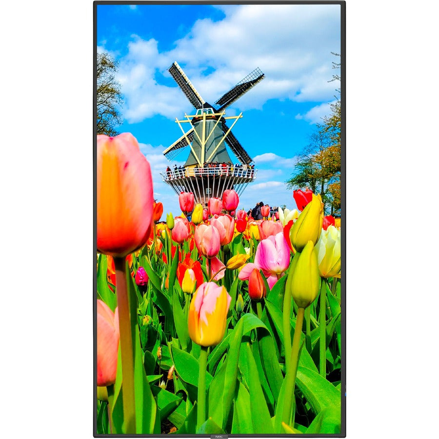 NEC Display MultiSync M651-MPI4E Digital Signage Display/Appliance