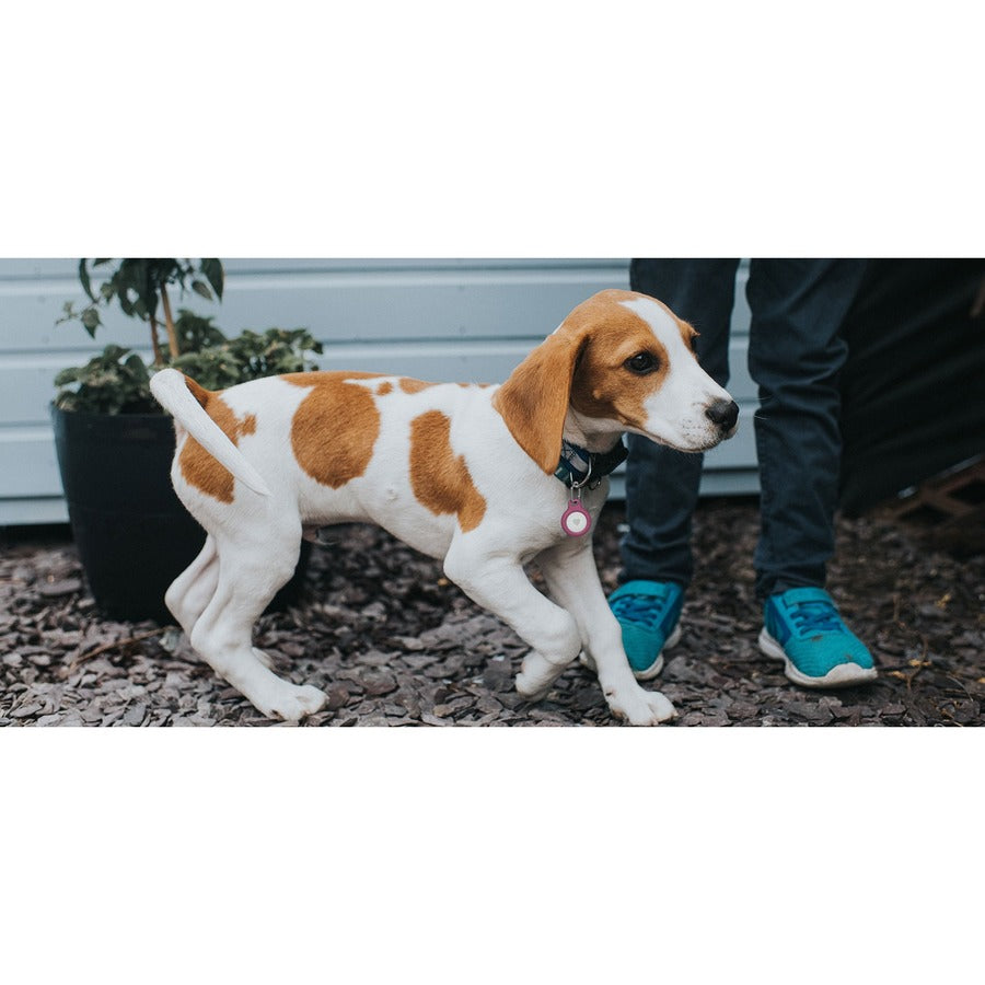 Secure Hldr KeyRing AirTag PNK