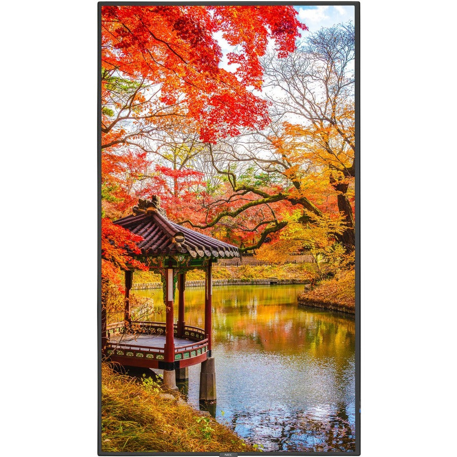 MULTISYNC MA491-IR 49 LED LCD