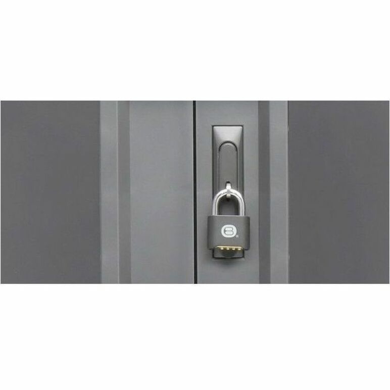 36X COREX CART PLATINUM PAINT