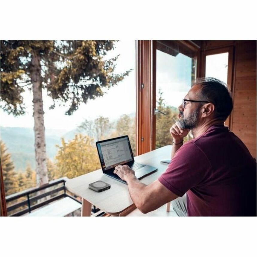 Netgear Omnidirectional MIMO Antenna