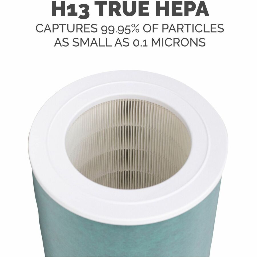 AERAMAX SE COMBO FILTER