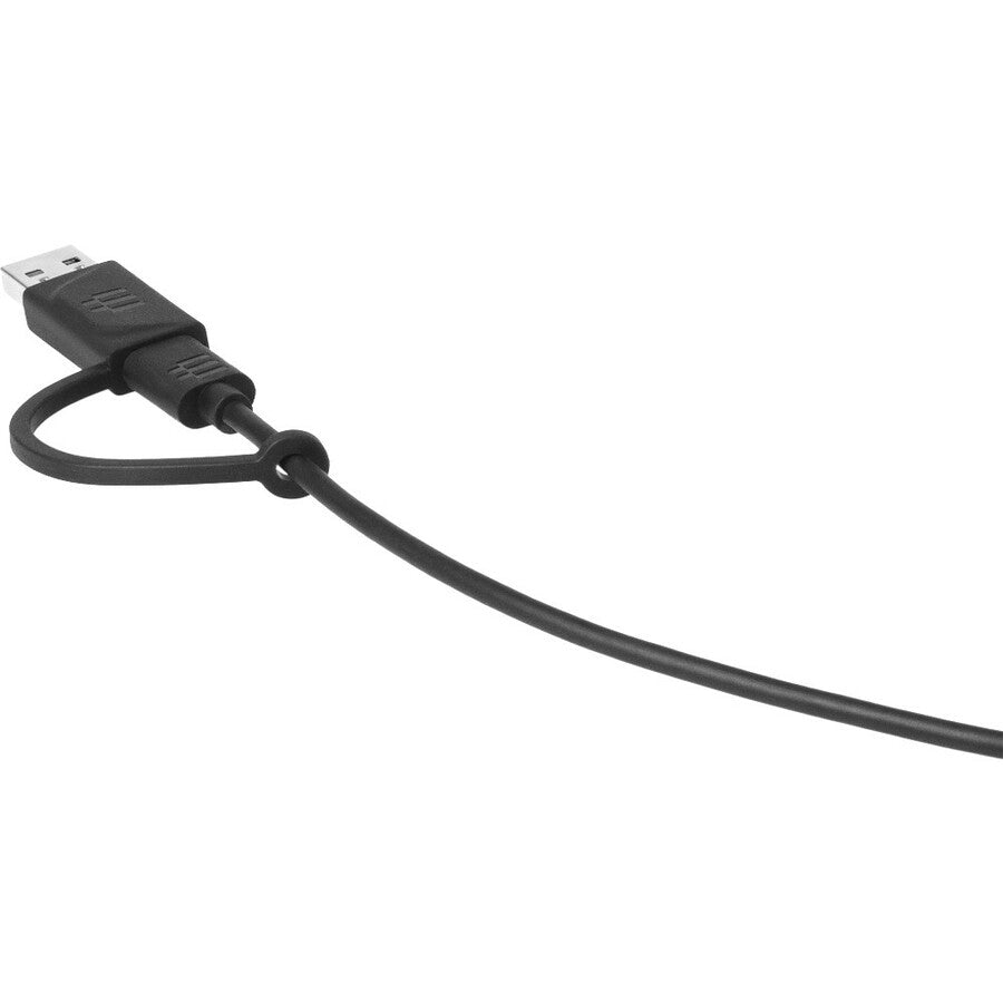 USB-C CABLE WITH ADAPTER
