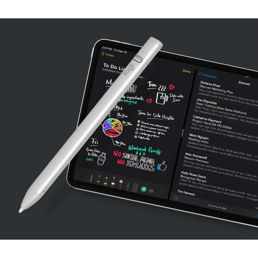 Crayon Dgtl Pencil iPad USB pt