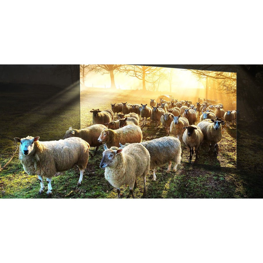 Samsung QN800C QN75QN800CF 74.5" Smart LED-LCD TV 2023 - 8K UHD - Titan Black