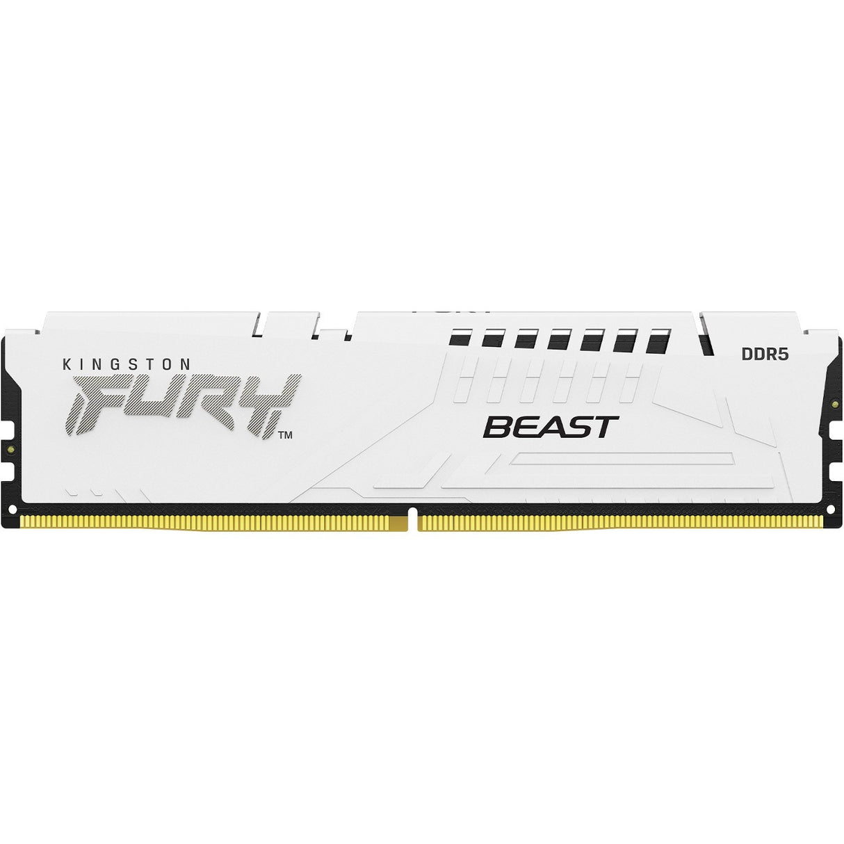 64GB 5600MT/S DDR5 CL36 DIMM