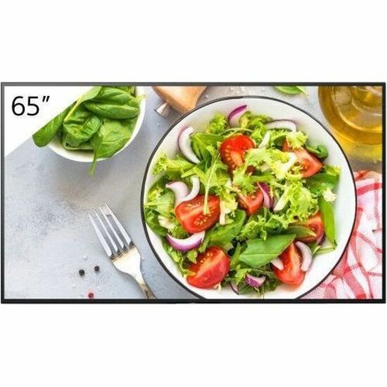 Sony Pro BRAVIA FW-65BZ35L Digital Signage Display