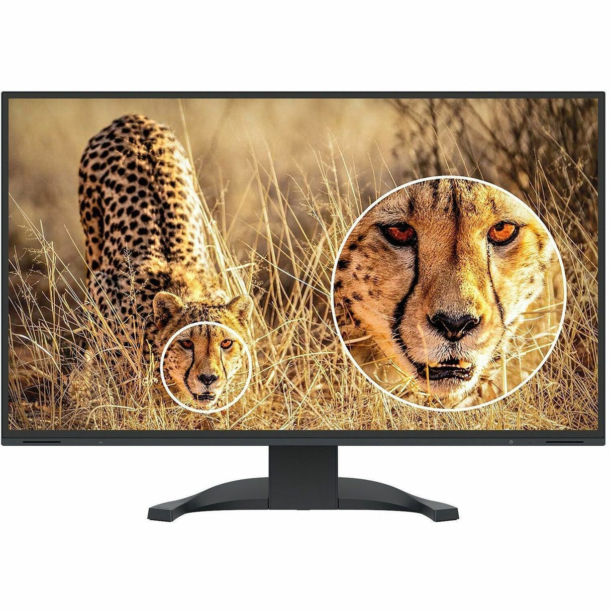 4K ULTRA-SLIM FRAME DESIGN
