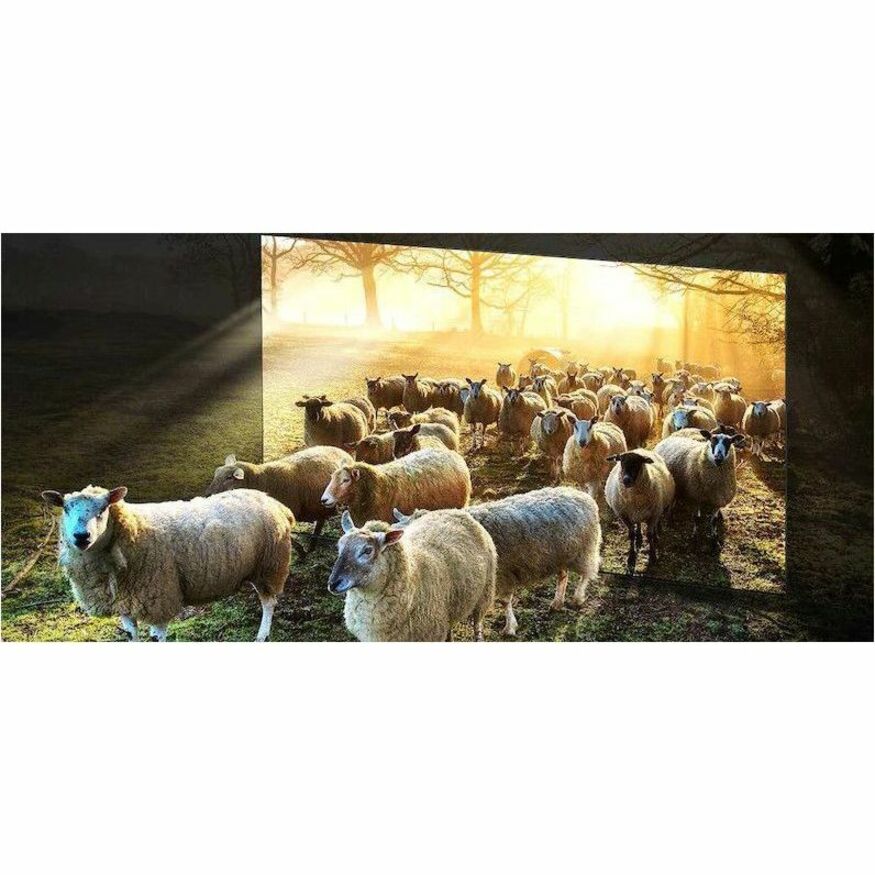 Samsung QN900D QN85QN900DF 84.5" Smart LED-LCD TV - 8K UHD - High Dynamic Range (HDR)