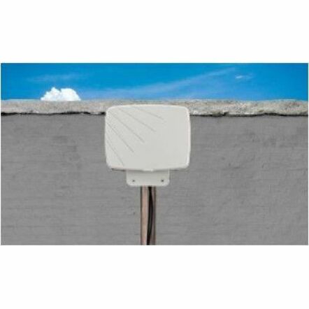 LABRADOR 2:1 ANT 2CELL