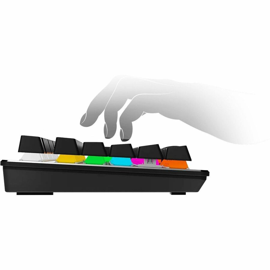 FORGE GK300 COMBO BLUE US