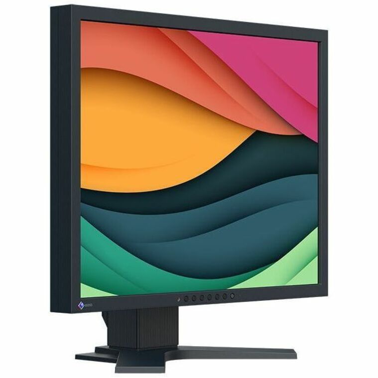 EIZO FlexScan S2134-BK 21" Class UXGA LED Monitor - 4:3 - Black