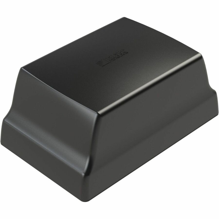 AIREDALE TERRIER 4:1 ANT