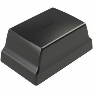 AIREDALE TERRIER 5:1 ANT