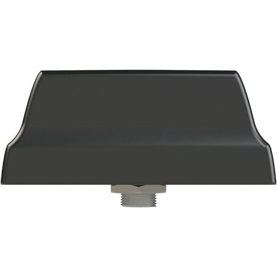 AIREDALE TERRIER 4:1 ANT