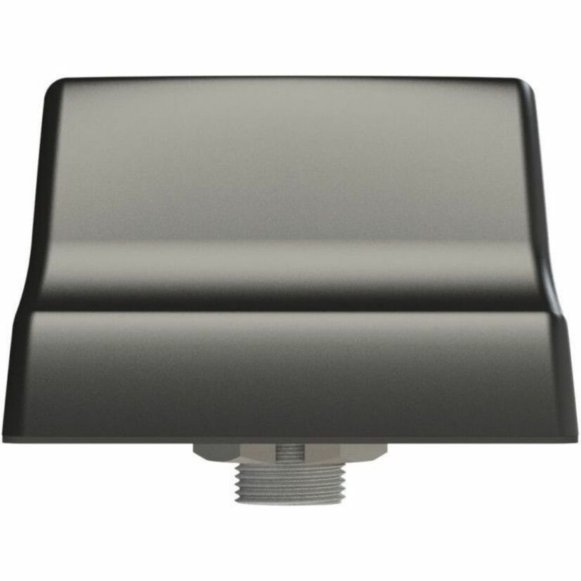 AIREDALE TERRIER 4:1 ANT