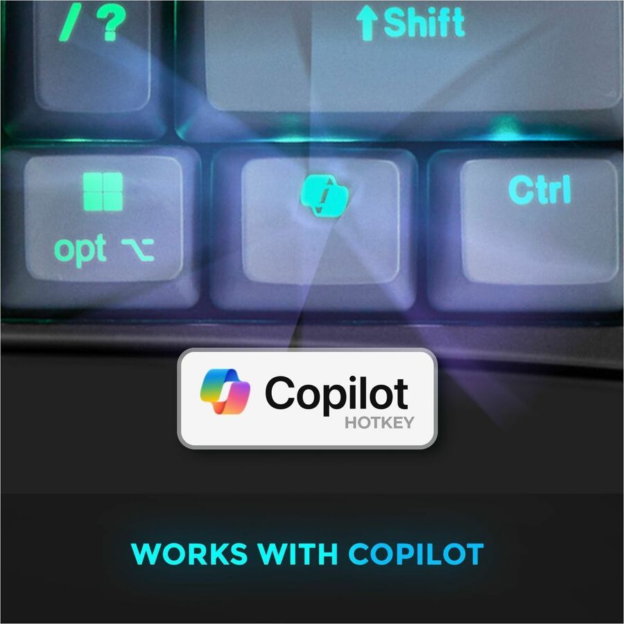 Mechanical VIA Kybrd w CoPilot
