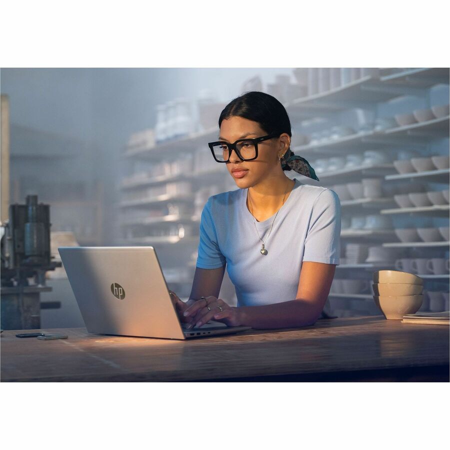 HP ProBook 4 G1a 16" Notebook - WUXGA - AMD Ryzen 7 250 - 16 GB - 512 GB SSD - English Keyboard - Pike Silver