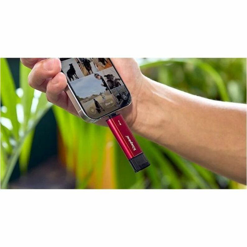 Kingston 512 GB Portable Solid State Drive - External