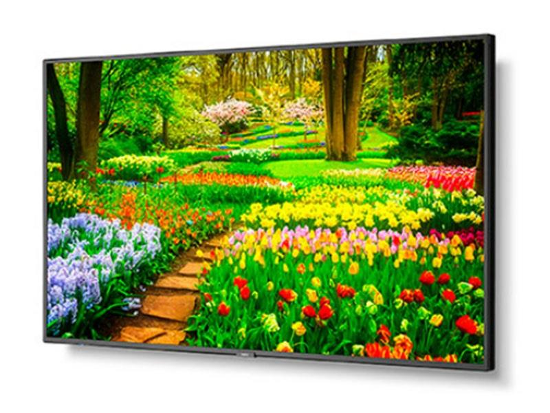 NEC M491-R LFD-Display-Monitor 49" MULTISYNC 3840X2160 1 Jahr Garantie