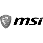 MSI