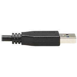 Eaton Tripp Lite Series USB-C to USB-A Cable (M/M), USB 3.2 Gen 2 (10 Gbps), Thunderbolt 3 Compatible, 20-in. (50.8 cm) 5