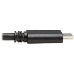 Eaton Tripp Lite Series USB-C to USB-A Cable (M/M), USB 3.2 Gen 2 (10 Gbps), Thunderbolt 3 Compatible, 20-in. (50.8 cm) 4
