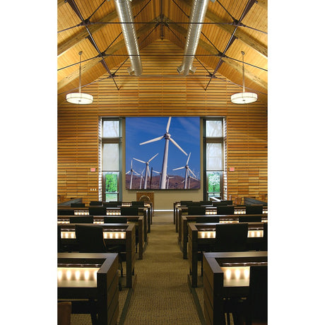 Draper Targa 133" Projection Screen