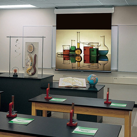 Draper Luma 2 133" ManualProjection Screen