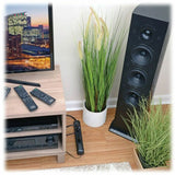 Eaton Tripp Lite Series Protect It! 6-Outlet Surge Protector, 6 ft. Cord, 790 Joules, Diagnostic LED, Black Housing