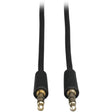 10FT MINI STEREO AUDIO CABLE